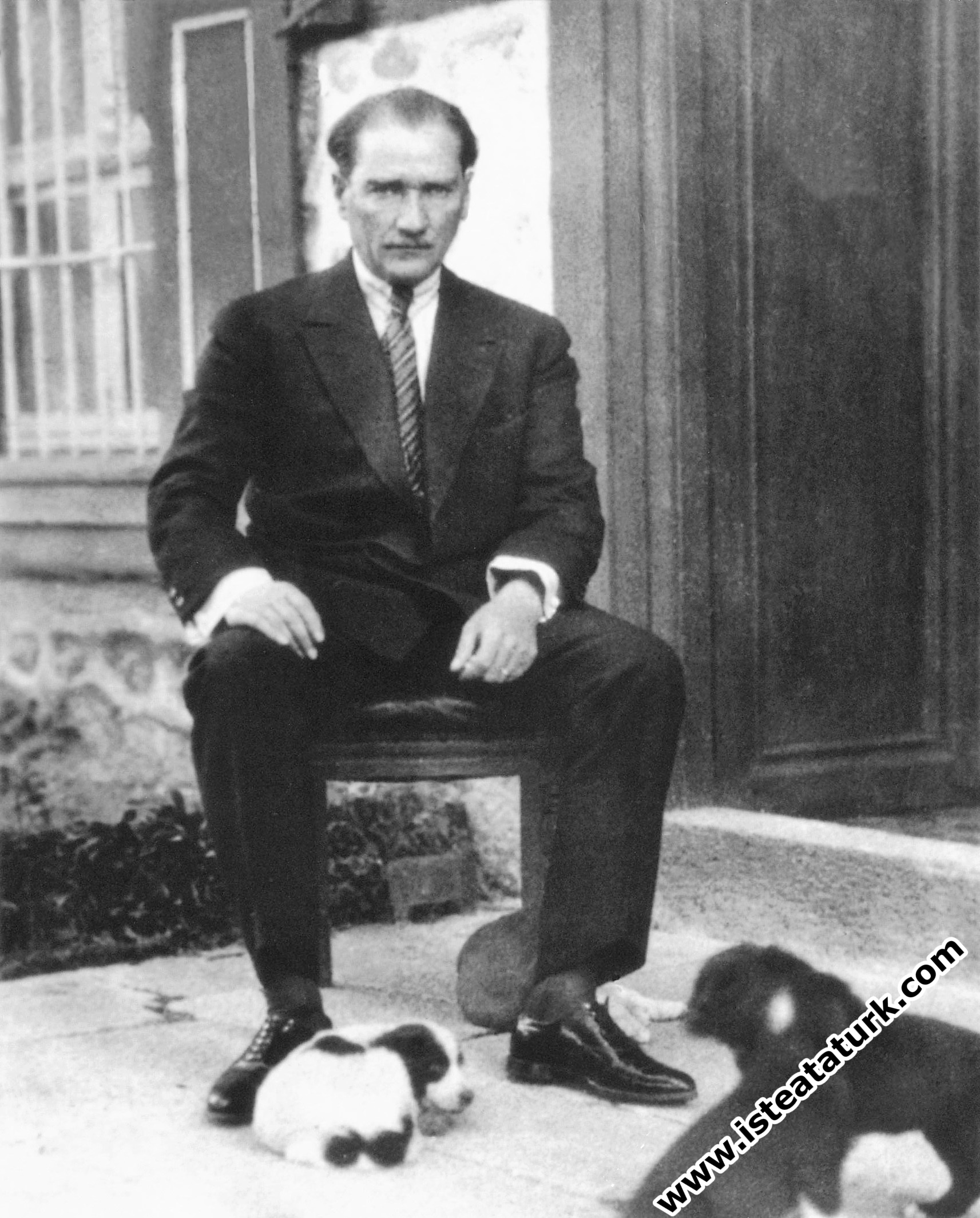 Atatürk Ün Köpeğinin Adı Nedir